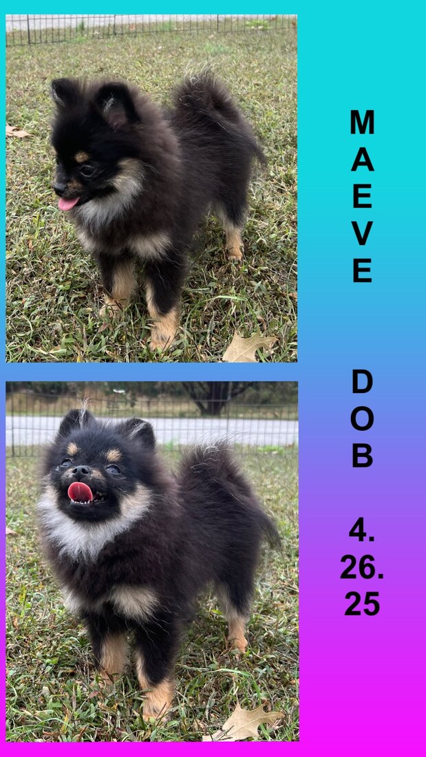 YKnots Kilo’s Bourbon Blend Reserve (Maeve)