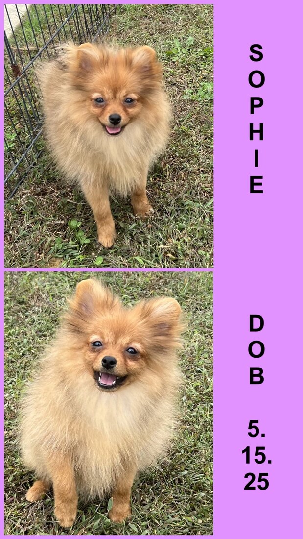 YKnots Loving Mister Incredible (Sophie)