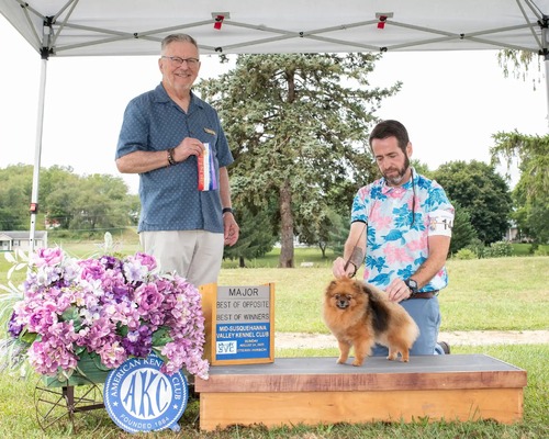 CH YKnots Last Call (Jezebel)